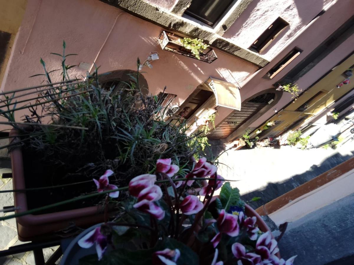 Alloggio Turistico Centro Storico Malatesta Montefiascone Exterior foto